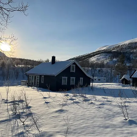 Wilderness In The Mountains Near With A Great View